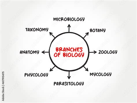 Biology Mind Map 的图像结果