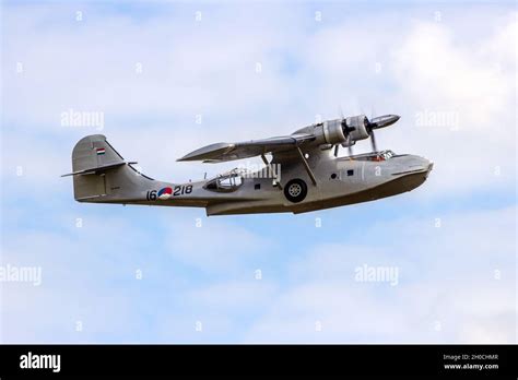 Image result for Dutch PBY