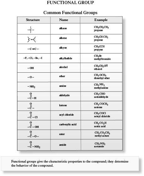Image result for Types Functional Groups