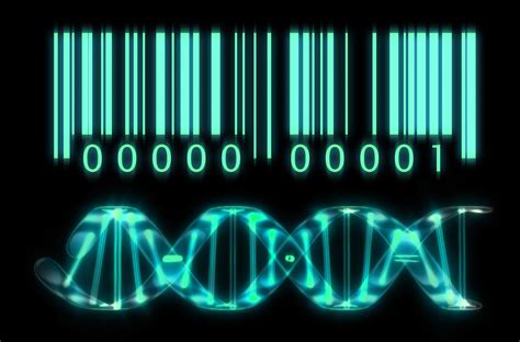 replication | Science biology, Teaching biology, Biology lessons