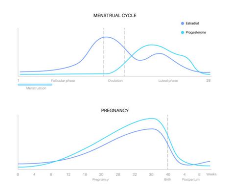 Period Cycle Graph 的图像结果