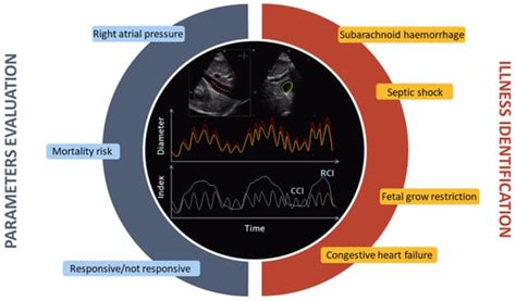 Processing Ultrasound Scans of the Inferior Vena Cava: Techniques and ...