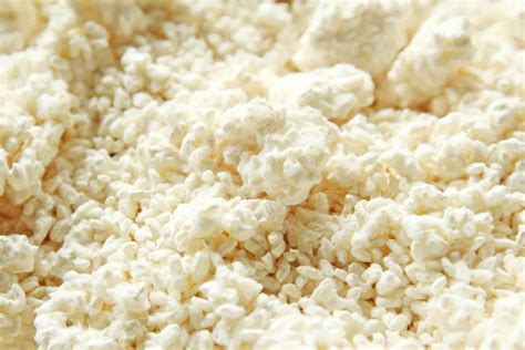 What is Rice Koji And How To Use It? ~ Rice Koji, The Amazing Japanese ...
