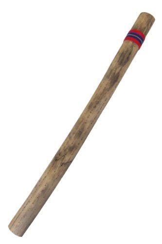 Africa Heartwood Project 30 Chilean Cactus Rain Stick Musical ...
