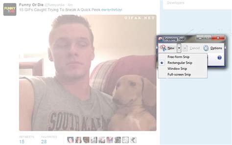 Image result for Twitter ScreenShot