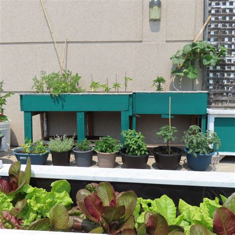 Duncan Mills (2025) – Co-operative Housing Federation of Toronto