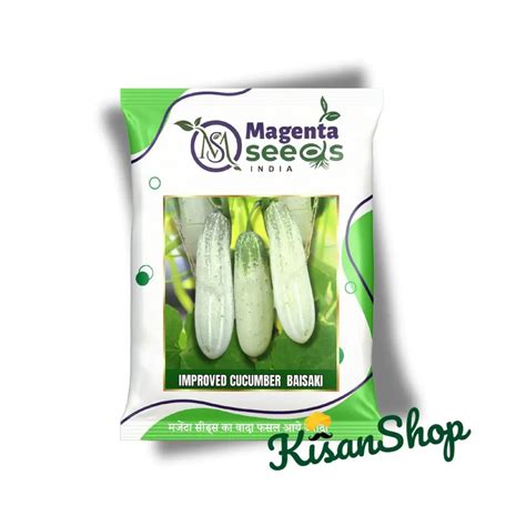 Buy BAISAKHI - White Desi Cucumber Seeds | Quick Growing & Rich Flavor ...