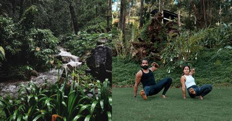 Fitreat 2020 by Ayatana Coorg Resort - 7-Day Wellness Program with ...