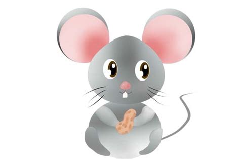 生肖属鼠的名人明星有哪些