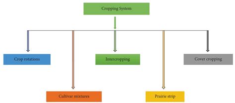Image result for Cropping System Types