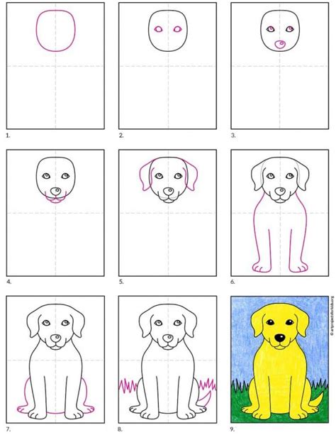 How to Draw a Realistic Labrador 的图像结果