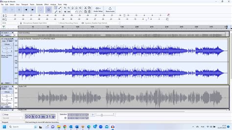 Image result for Audacity 1.3 Tutorial