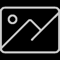 Organisation Chart of BELTRON