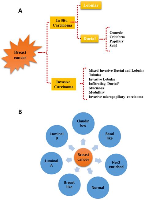Thyroid Diseases and Breast Cancer | Encyclopedia MDPI