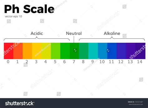 Ph Scale Universal Indicator Ph Color Stock Vector (Royalty Free) 725721487 | Shutterstock