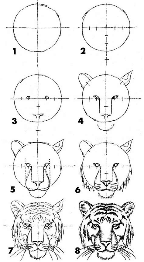 Image result for Drawing Animals Using Basic Shapes