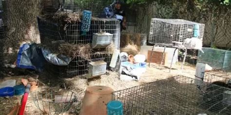 SPCA of Texas seizes 42 animals from Pottsboro property