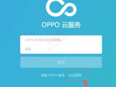 oppo云服务登录密码-适会说