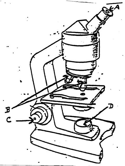 Microscope With Labels Coloring Pages
