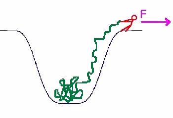 Professor K. L. Sebastian