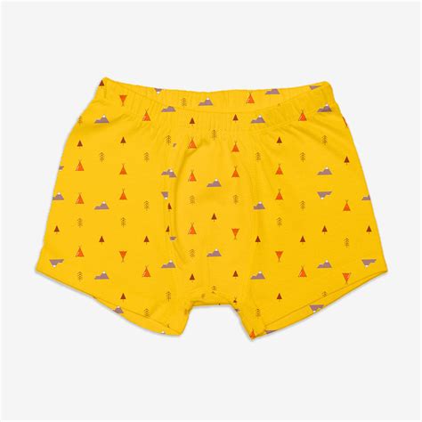 Young Boy Trunks Pack of 3 (Woody Goody) by SuperBottoms