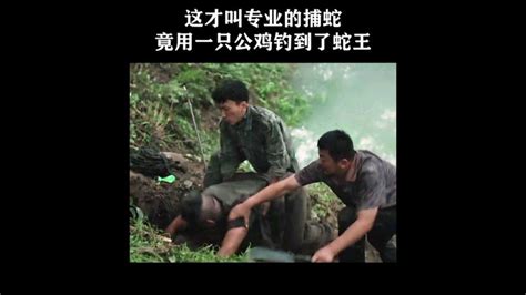 刘林城主演的冒险灾难电影-蛇王岛-完整版免费在线观看-爱奇艺