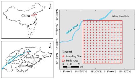 Estimating Soil Salinity with Different Levels of Vegetation Cover by ...