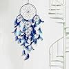 DULI Dream Catcher Traditional Indian Dreamcatcher Wall Art for ...