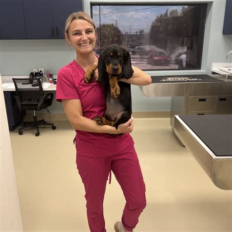 Top Vet Staff in Keller, TX - North Keller Animal Hospital