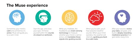 Muse: The Brain Sensing Headband - Black : Amazon.in: Sports, Fitness ...