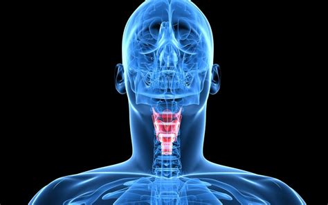 Neck Design Cutting 的图像结果