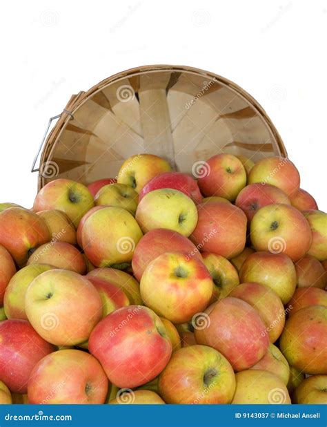 Bushel of Organic Fuji Apples Stock Image - Image of fuji, farmers: 9143037