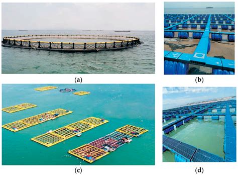 Research on Sea Trial Techniques for Motion Responses of HDPE Floating ...
