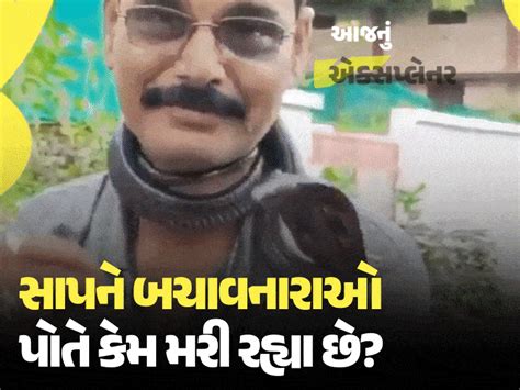 How 4 poisonous snakes bite by tricking, snake friends are constantly ...