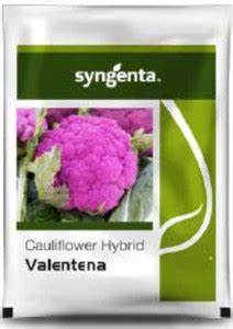 syngenta Cauliflower Seed Price in India - Buy syngenta Cauliflower ...