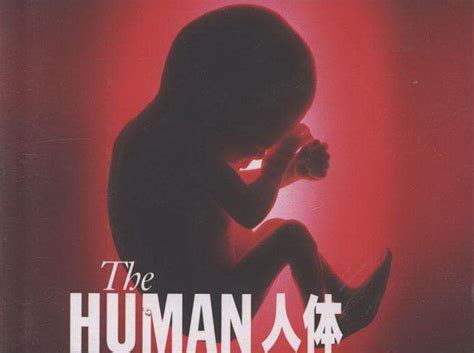 BBC.Inside the Human Body【人体奥秘】2011 百度盘下载-其它资源 - 馨雅资源网