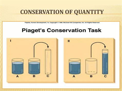 Cognitive Development Theory - Piaget | PPTX