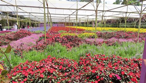 GENTING STRAWBERRY LEISURE FARM (2026) All You Need to Know BEFORE You ...