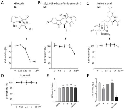 Marine-Fungi-Derived Gliotoxin Promotes Autophagy to Suppress ...