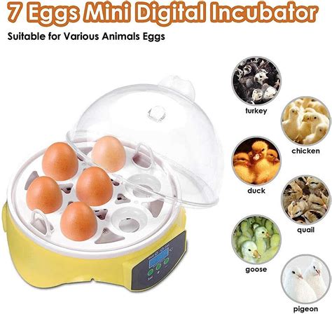Buy Aceshin Incubators for Hatching Eggs, Eggs Incubator Digital ...
