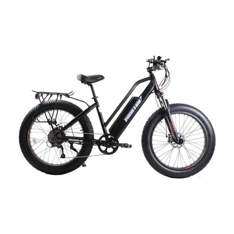 All-Terrain Fat Tire Electric Bikes (Best Prices & Free Shipping!) Tagged "Cargo Rack" - Really ...