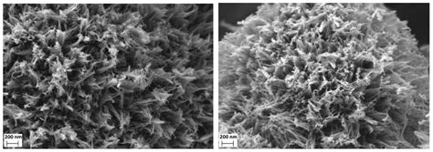 Synthesis of Nanostructured TiO2 Microparticles with High Surface Area