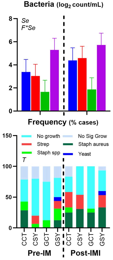 Feeding Chicory–Plantain Silage and/or Se Yeast Does Not Improve ...