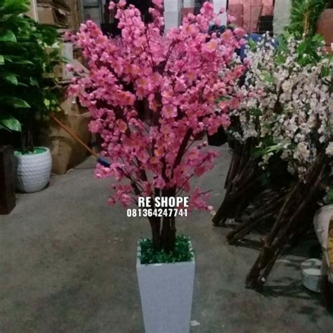 Jual Bunga Sakura Pohon Hiasan Rumah Cantik - Kuning - Kab. Bogor - RE ...