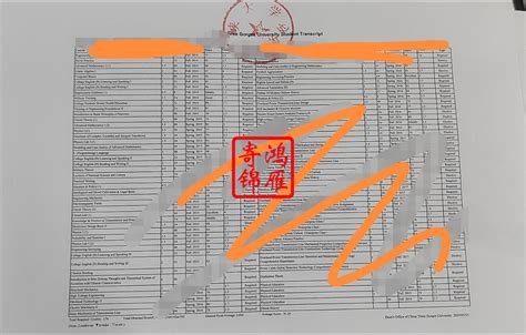 留学生学历成绩单翻译成中文-译联翻译公司