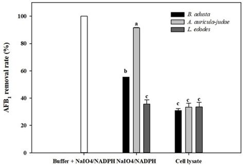 Removal of Aflatoxin B1 by Edible Mushroom-Forming Fungi and Its Mechanism