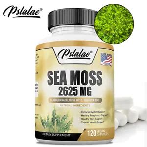 Sea Moss Capsules: 2625mg Thyroid & Immune Support (Irish Moss ...