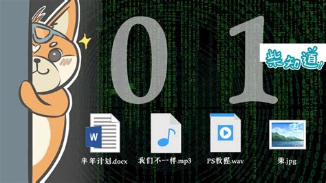 计算机0和1代表什么 - 业百科