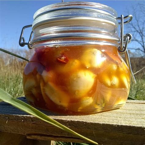 Fermented Garlic and Honey Recipe and Benefits – Food For Life Garden