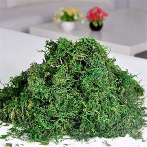 Buy Fourwalls Artificial Preserved Reindeer Dried Moss for Artificial ...
